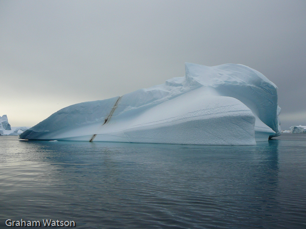 Icebergs at Pleneau Island