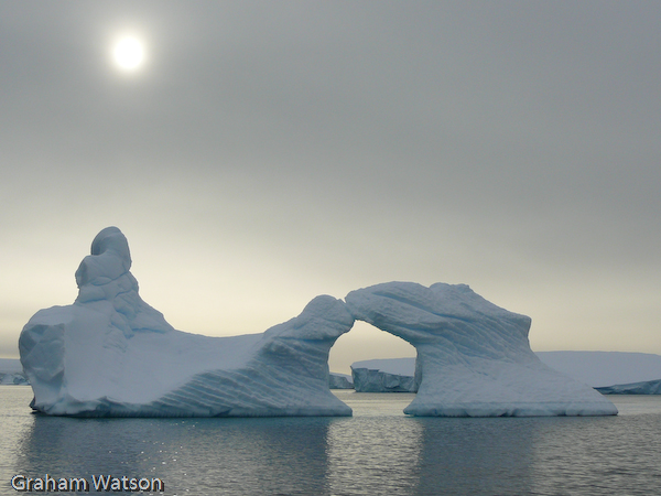 Icebergs at Pleneau Island