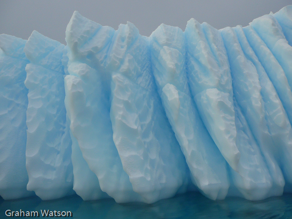 Icebergs at Pleneau Island