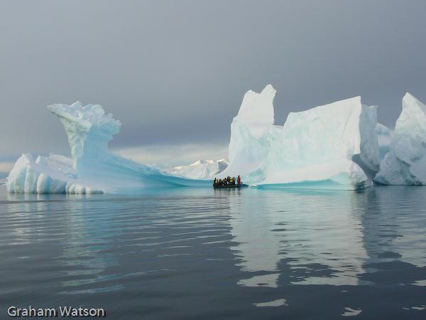 Icebergs at Pleneau Island