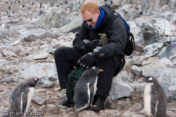 Deane with Gentoo Penguins