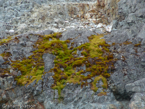 Views around Wordie House