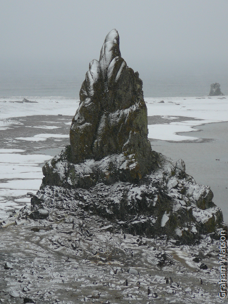 Aitcho Island (welcoming us...)