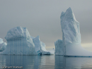 Icebergs at Pleneau Island